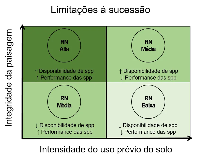 Figura 1. esquemática indicando as situações onde existem melhores (verde escuro) e piores (verde claro) condições para a regeneração natural (RN) das florestas.